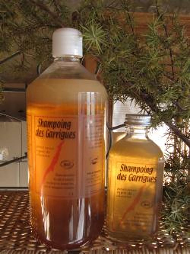 Un grand et un petit flacon de shampoing des Garrigues au liquide ambré, posés sur une surface en osier devant une branche de genévrier.